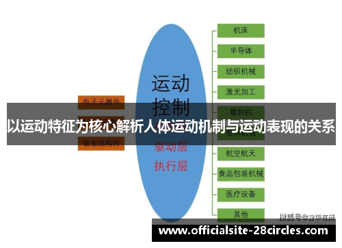 以运动特征为核心解析人体运动机制与运动表现的关系